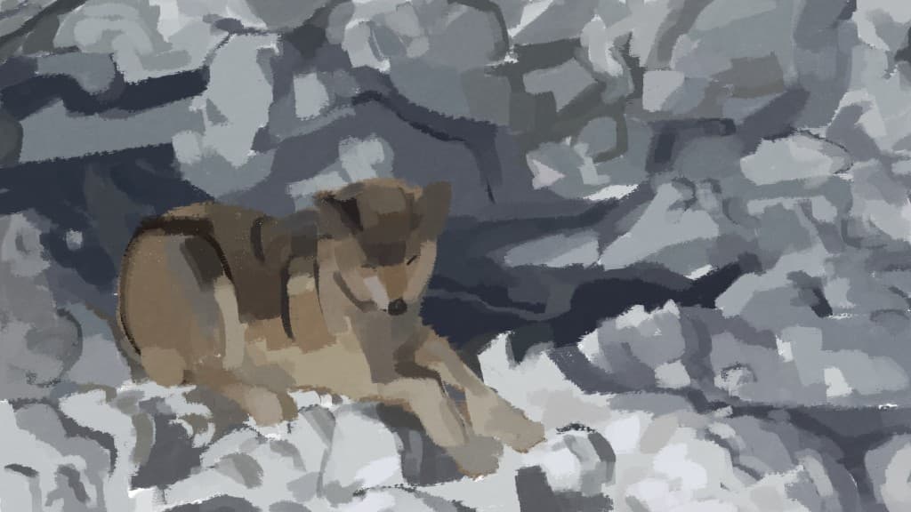 Resting Wolf